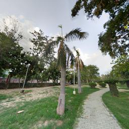 place