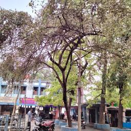 place