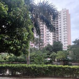 place