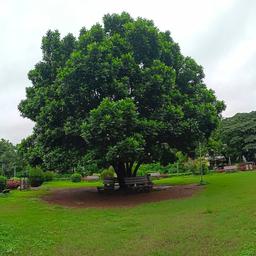 place