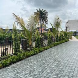 place
