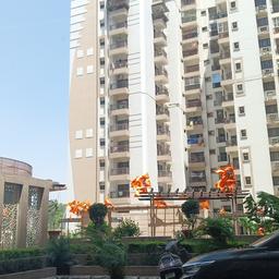 place