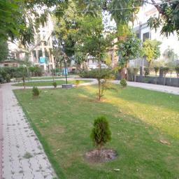 place