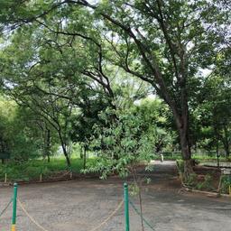 place