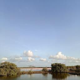 place