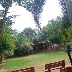 place