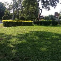 place