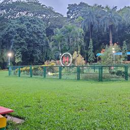 place