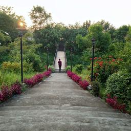 place
