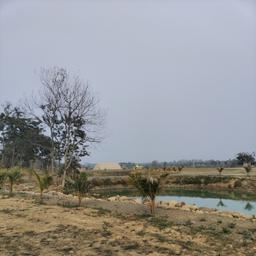 place