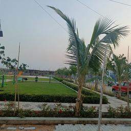 place