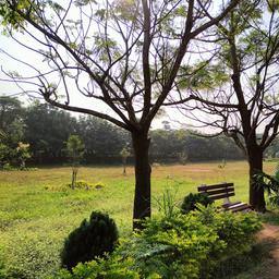 place