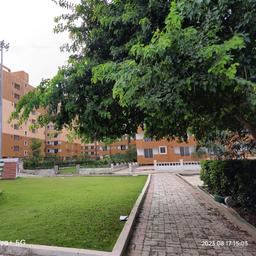 place