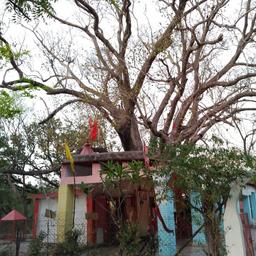 place