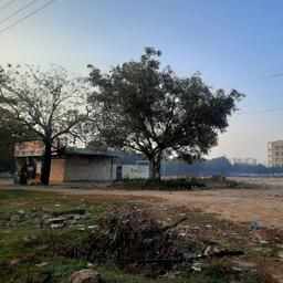 place