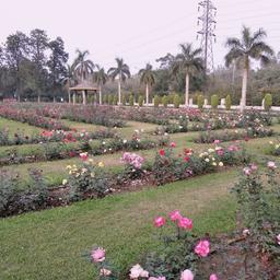 place