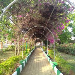 place
