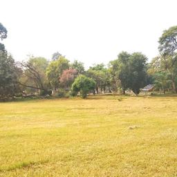 place