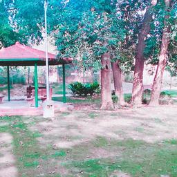 place