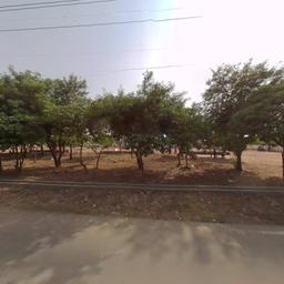 place
