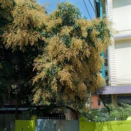 place