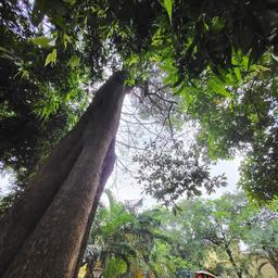 place