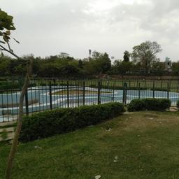 place