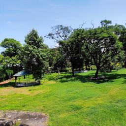 place