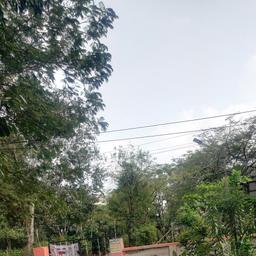 place