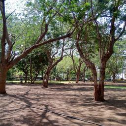 place