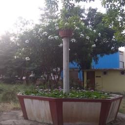 place