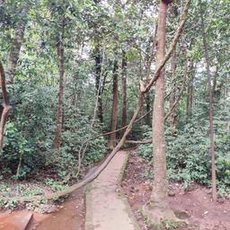 place
