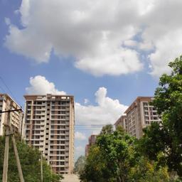place