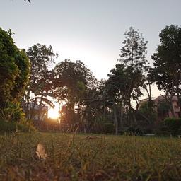 place
