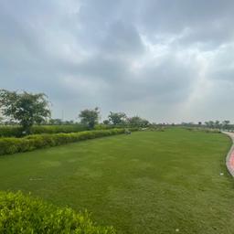place