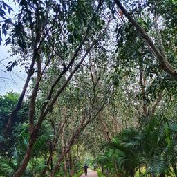 place