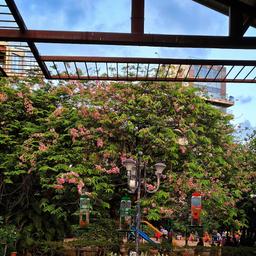 place