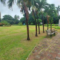 place