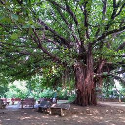 place