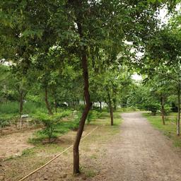place