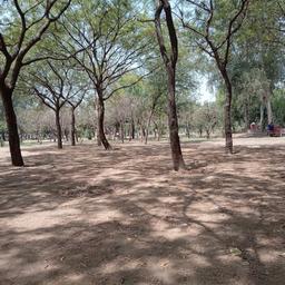 place