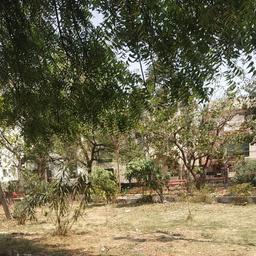 place