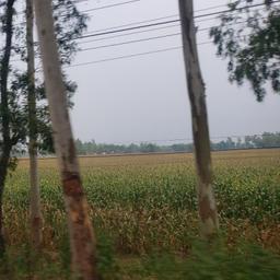 place