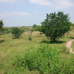 place