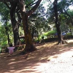 place