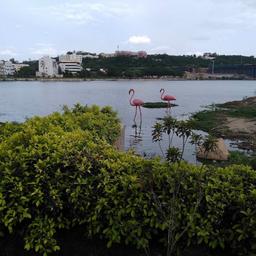 place