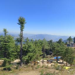 place