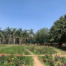 place