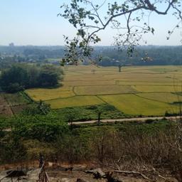 place