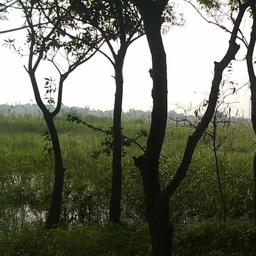 place